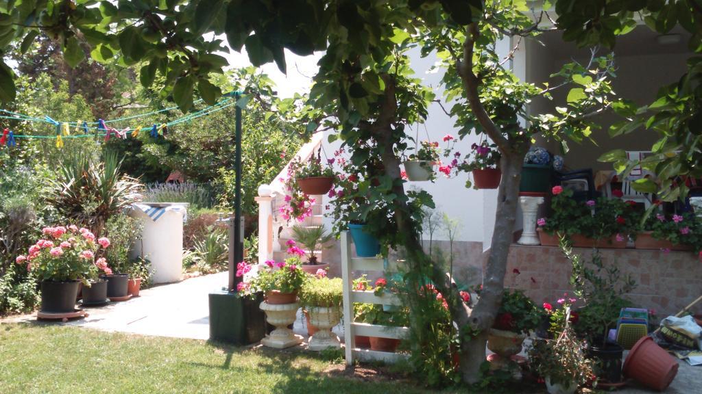 Apartments Romantica Sabunike Privlaka  Exterior foto